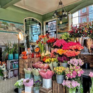 Meet your Posher, Audrey